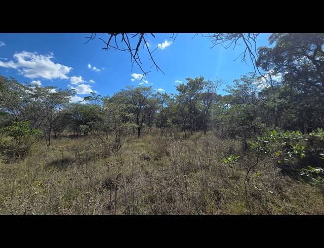 8.80HA VACANT LAND FOR SALE IN BELA BELA RURAL